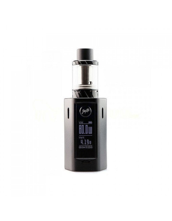 Wismec Reuleaux RX Mini 80W TC Kit by Jay Bo Designs